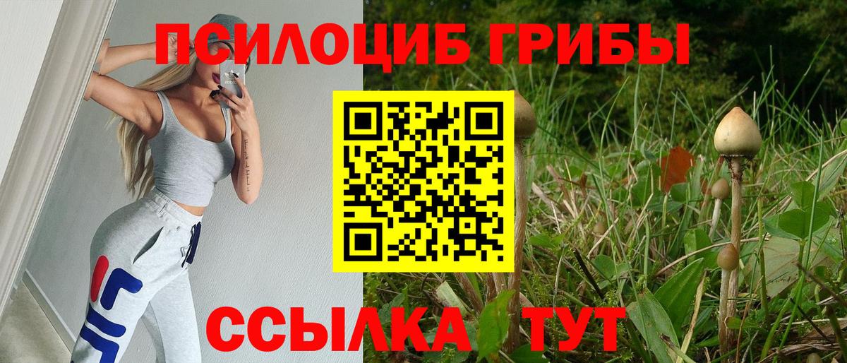 Галлюциногенные грибы прущие грибы Шали