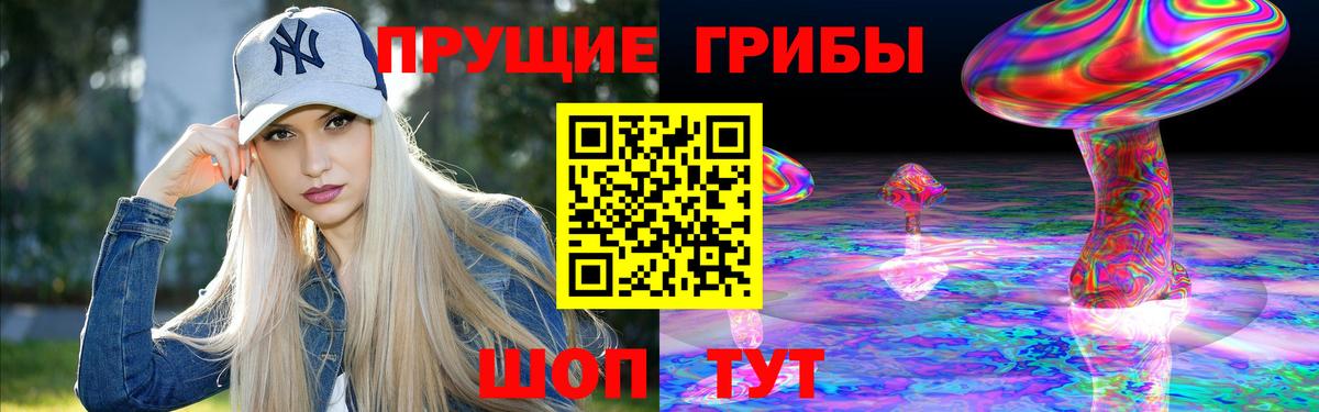 Шали  Галлюциногенные грибы Cubensis  Вход с VPN 