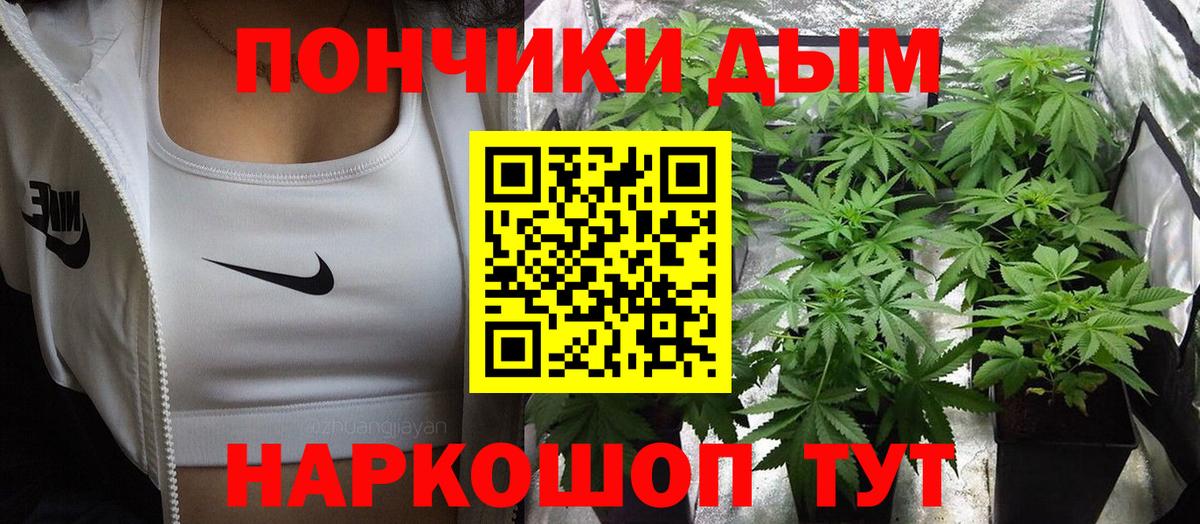 Конопля Amnesia  Вход с VPN  МАРИХУАНА гибрид  Шали  Конопля конопля 